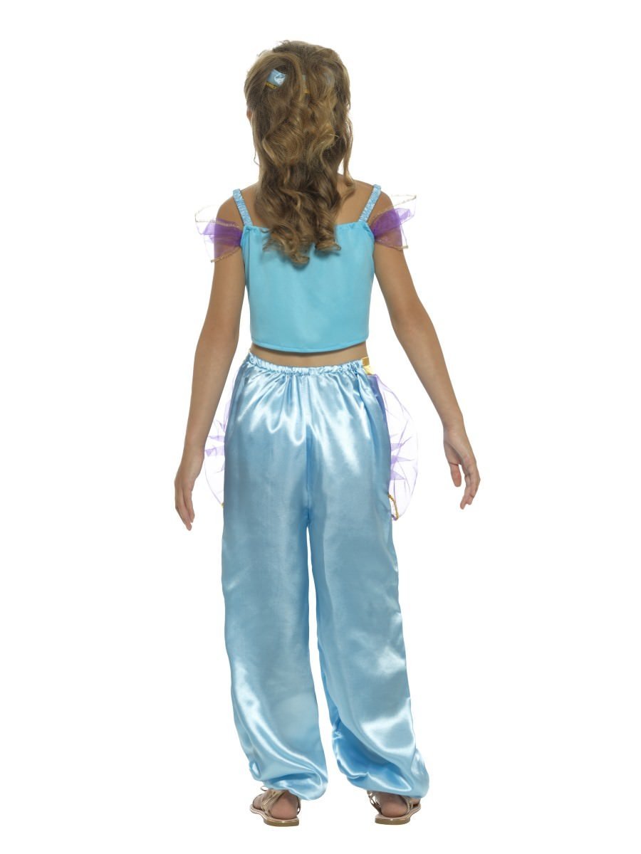 Arabian princess store costume